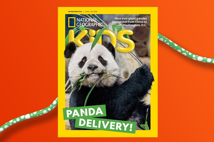 National Geographic Kids 153冊他 National Geographic Kids 153冊他 National Geographic Kids